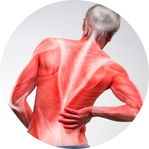 Leđa su čest izvor bolova u mišićima i zglobovima za većinu ljudi.